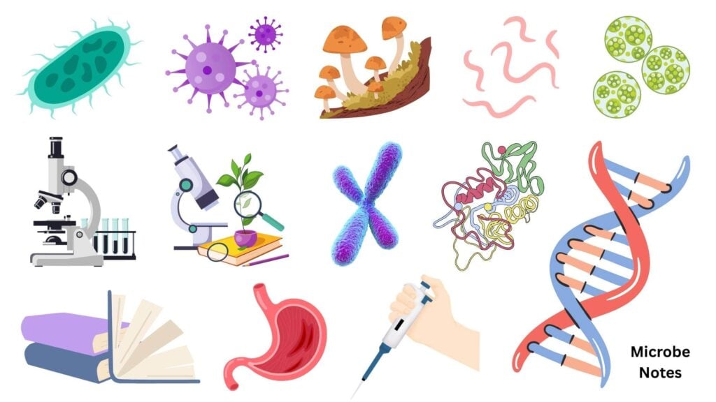 Microbe Notes Cover Microbe Notes Cover