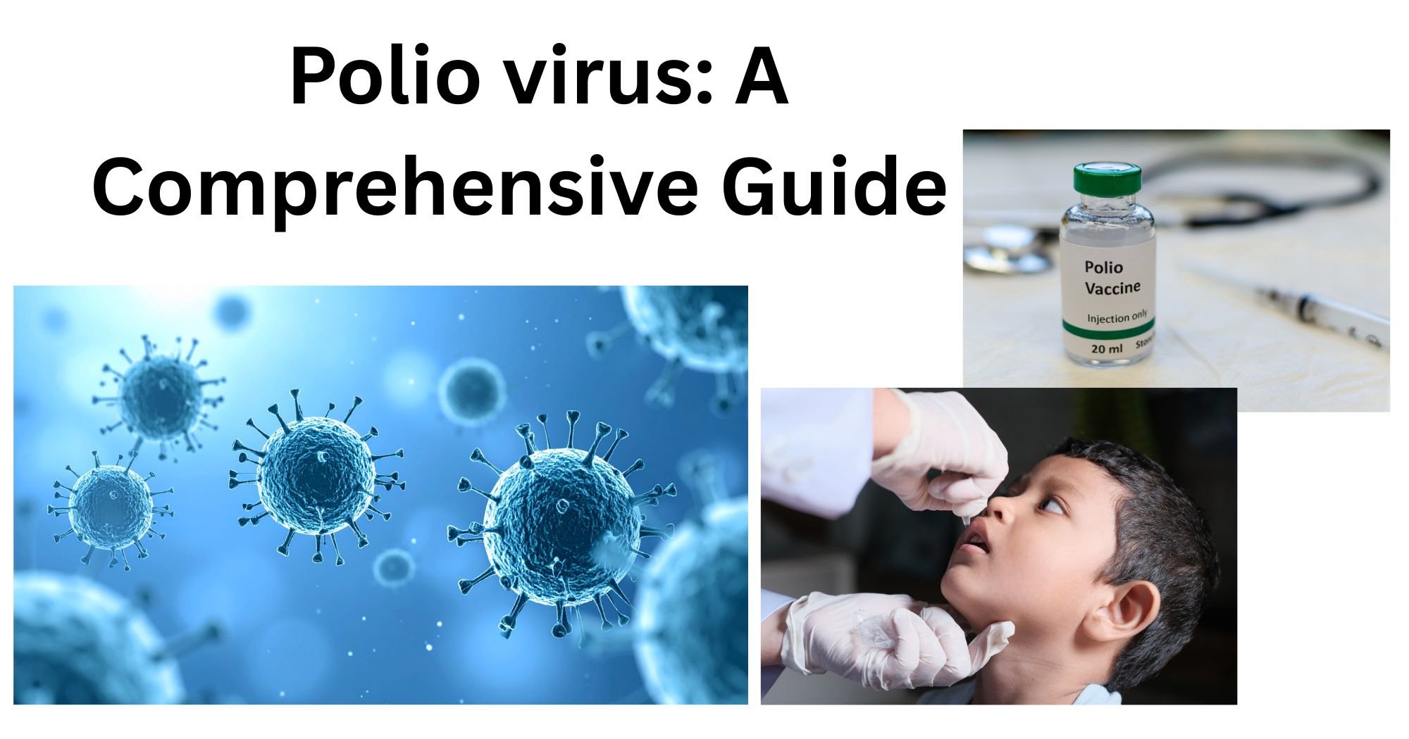 Poliovirus Poliovirus