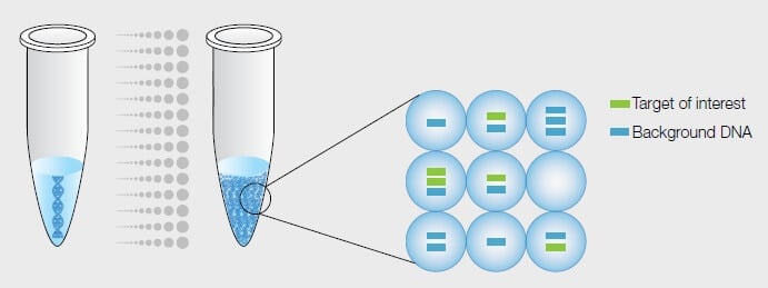 Sample partitioning in digital PCR Sample partitioning in digital PCR