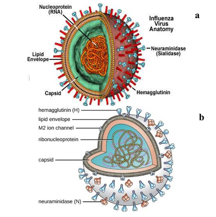 image 10 1 image 10 1