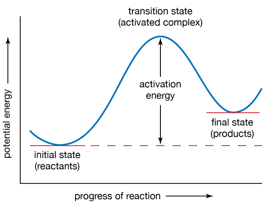 Activation energy acting as the barrier between reactants and products Activation energy acting as the barrier between reactants and products