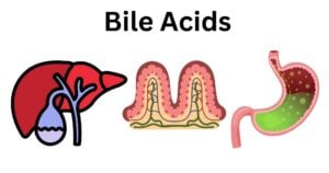 Bile Acids Bile Acids