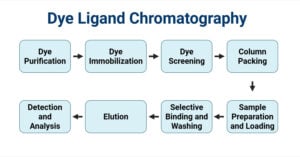 Dye Ligand Chromatography Dye Ligand Chromatography