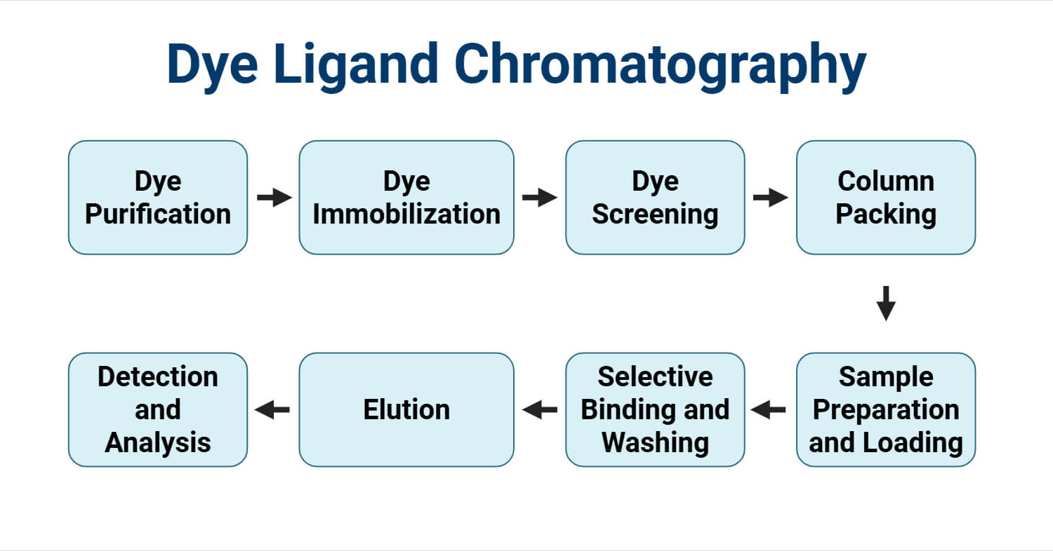 Dye Ligand Chromatography Dye Ligand Chromatography