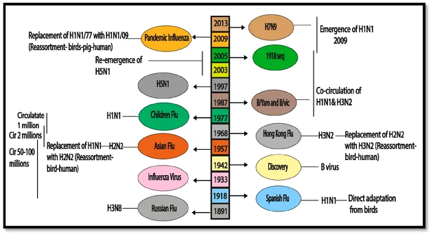 Epidemiological history and co circulation of influenza virus Epidemiological history and co-circulation of influenza virus