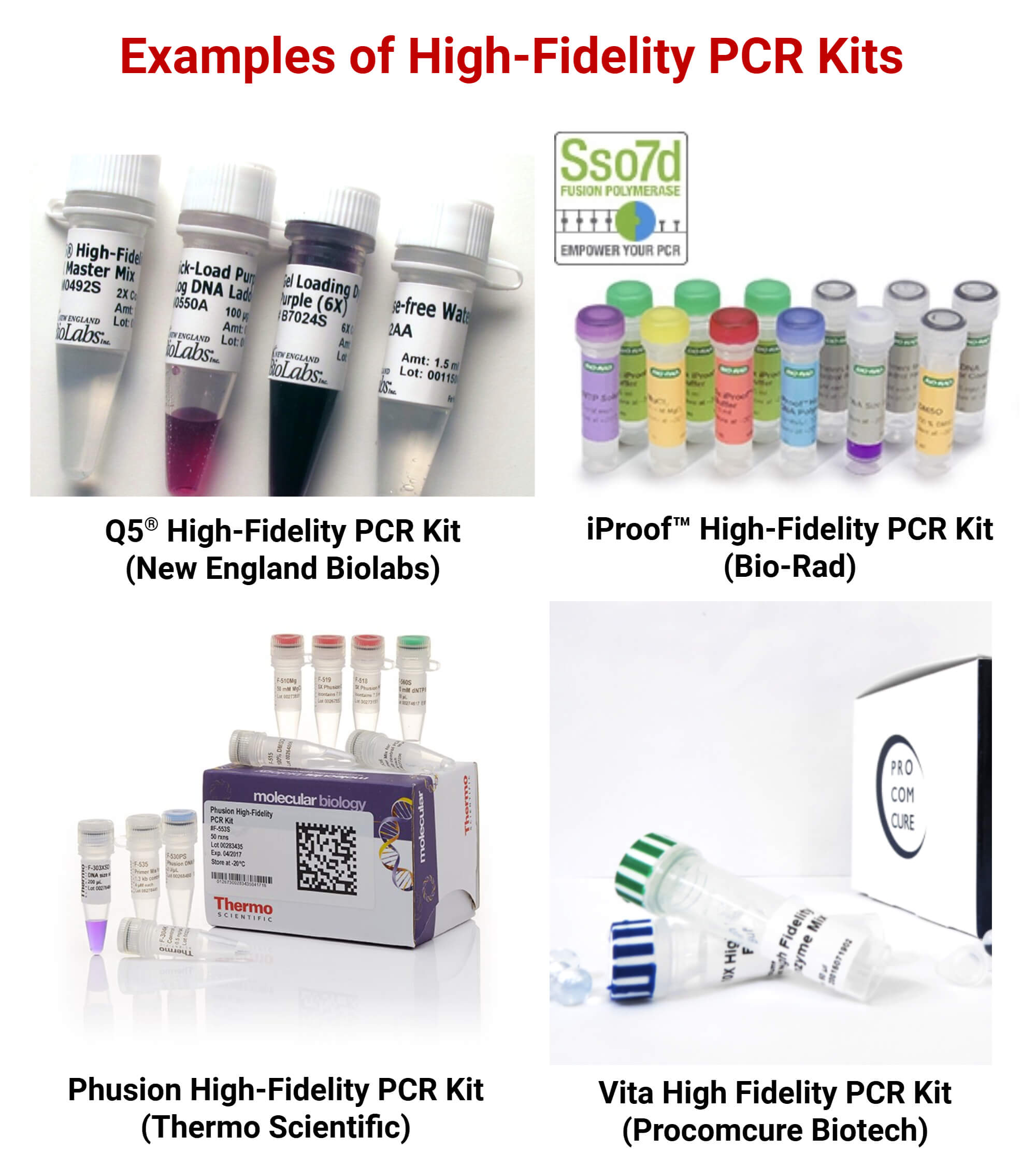 Examples of High Fidelity PCR Kits Examples of High-Fidelity PCR Kits
