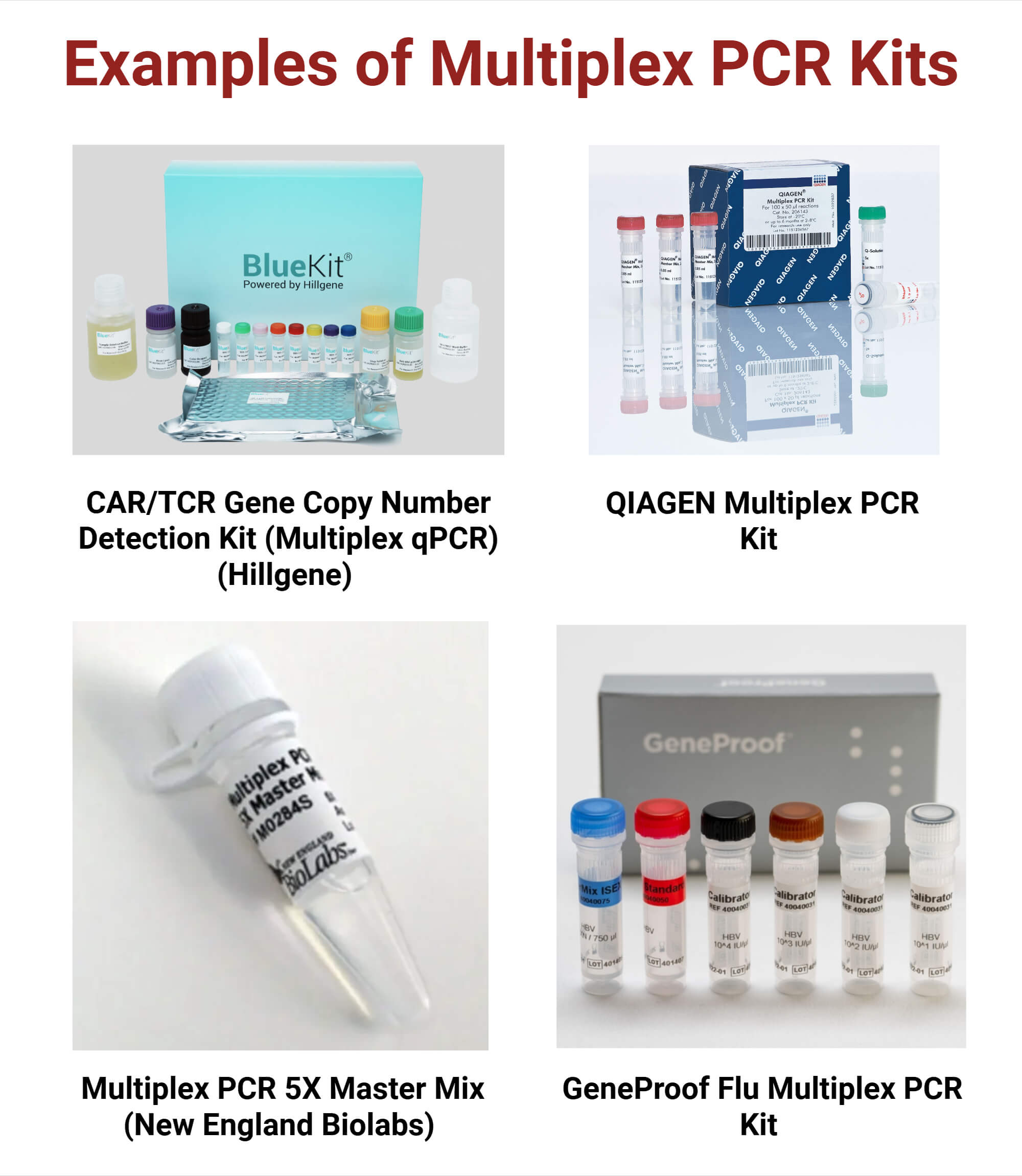 Examples of Multiplex PCR Kits Examples of Multiplex PCR Kits