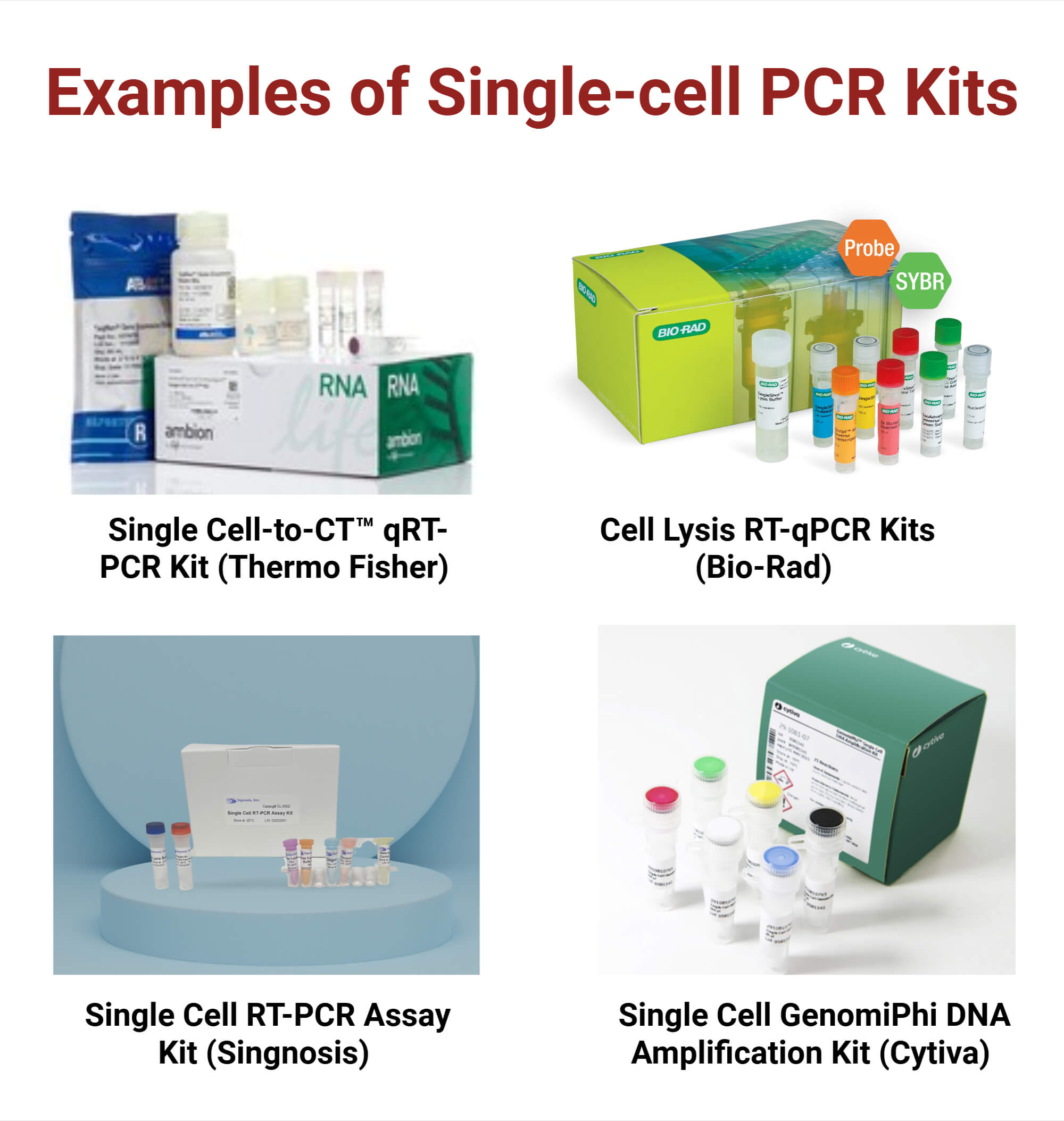 Examples of Single cell PCR Kits Examples of Single-cell PCR Kits