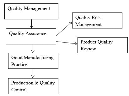 GMP and QA GMP and QA