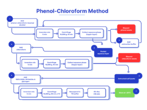 General flowchart of the Phenol Chloroform DNA extraction method Phenol‑Chloroform Method of DNA Extraction