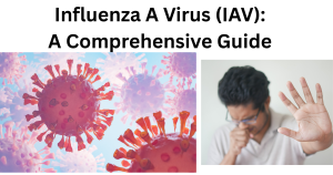 Influenza A Virus IAV Influenza A Virus (IAV)