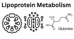Lipoprotein Metabolism Lipoprotein Metabolism