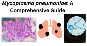 Mycoplasma pneumoniae A Comprehensive Guide Mycoplasma pneumoniae