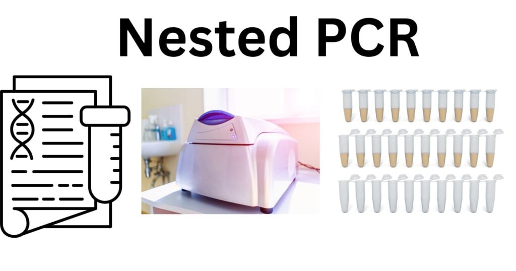 Nested PCR Nested PCR