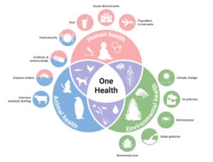 One Health Interdependence Between Human Animal Environmental Health One Health- Interdependence Between Human, Animal & Environmental Health