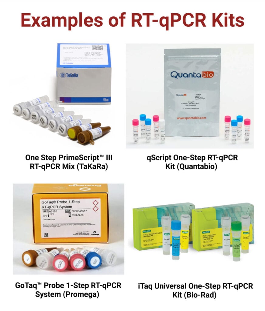 RT qPCR Kits Examples RT qPCR Kits Examples