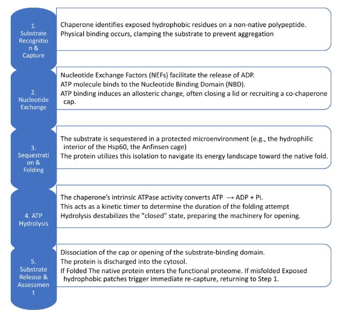 Screenshot 2026 03 16 123623 Screenshot 2026 03 16 123623