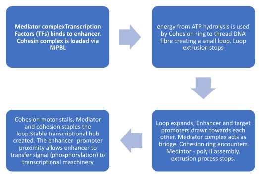 Screenshot 2026 03 16 135206 Screenshot 2026 03 16 135206