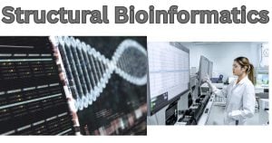 Structural bioinformatics
