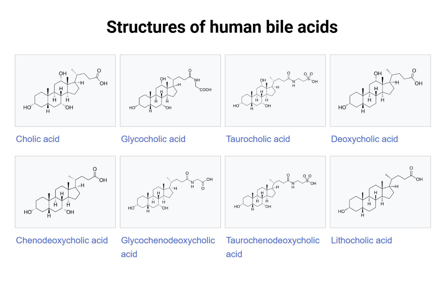 Structure of Human Bile Acids Structure of Human Bile Acids