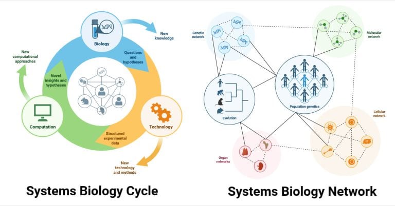 Systems Biology: Principles, Networks, Logic Gates