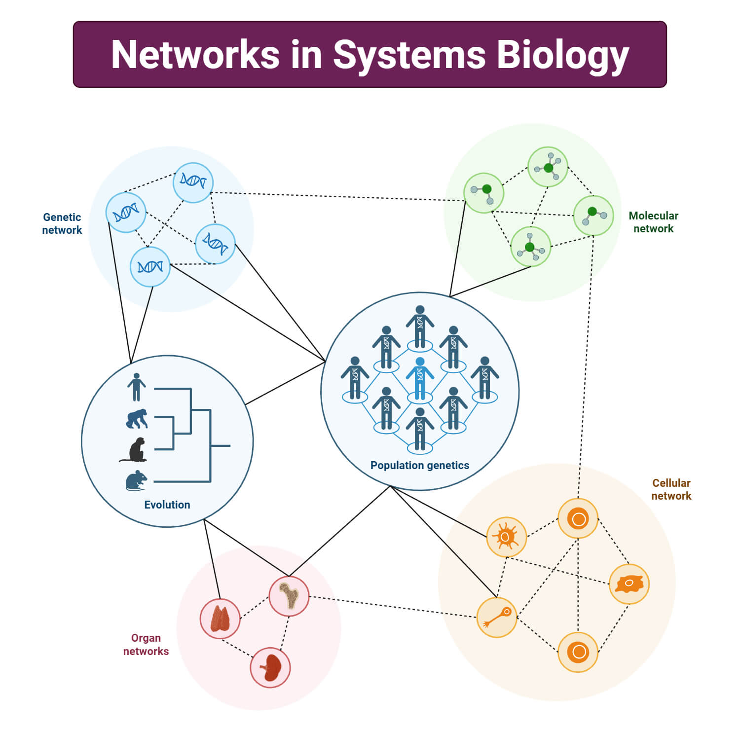 Systems Biology Network Systems Biology Network