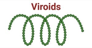 Viroids