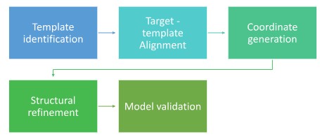 bioinformetics1 Homology Modelling