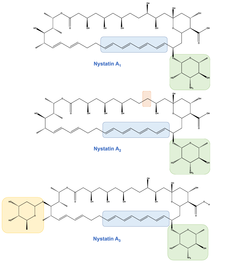 image 104 3 isomers of nystatin: Nystatin A1, Nystatin A2, and Nystatin A3