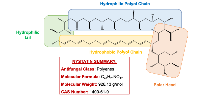 image 105 2-D chemical structure of nystatin