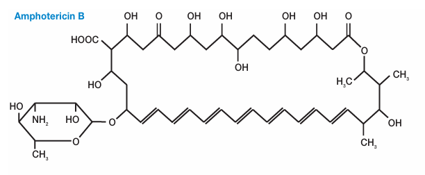 image 113 chemical structure of ergosterol