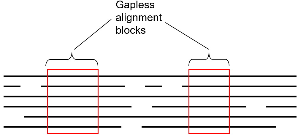 image 116 BLOSUM (Gapless alignment blocks)