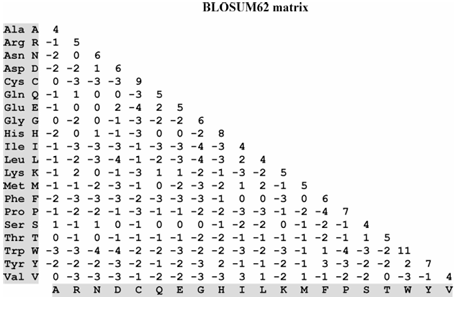 image 117 BLOSUM62 substitution matrix