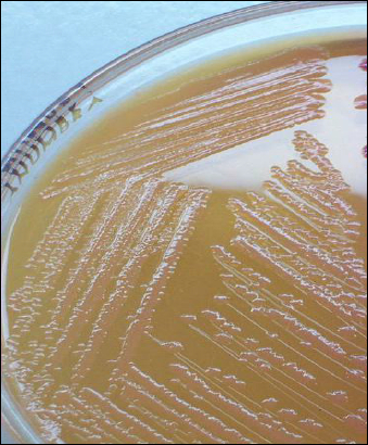 image 19 1 image 19 1