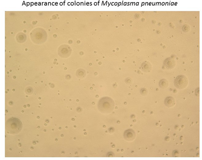 image 22 1 image 22 1