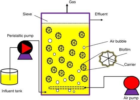 image 23 MBBR key components