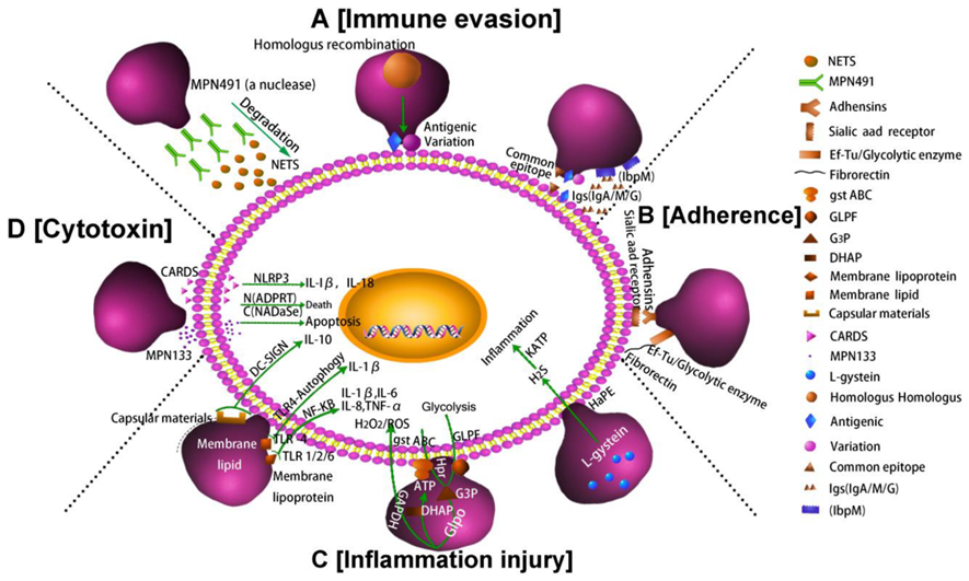image 24 1 image 24 1