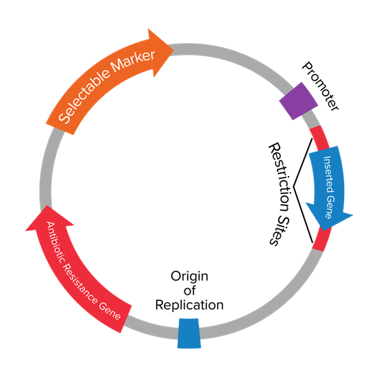 image 32 1 image 32 1