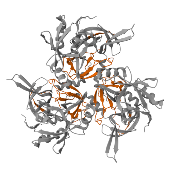 image 55 3D structural model of a protein