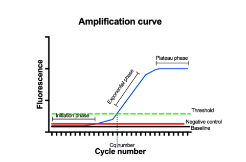 image 72 Amplification curve