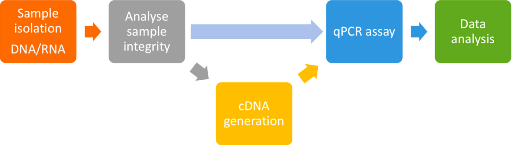 image 78 Workflow of a standard qPCR and RT-qPCR experiment