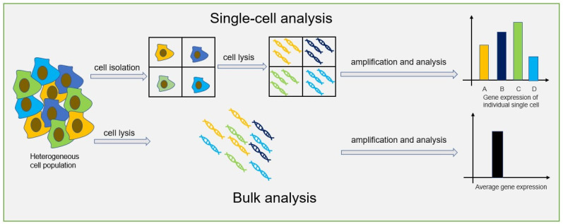 image 81 General process of single-cell analysis and bulk analysis