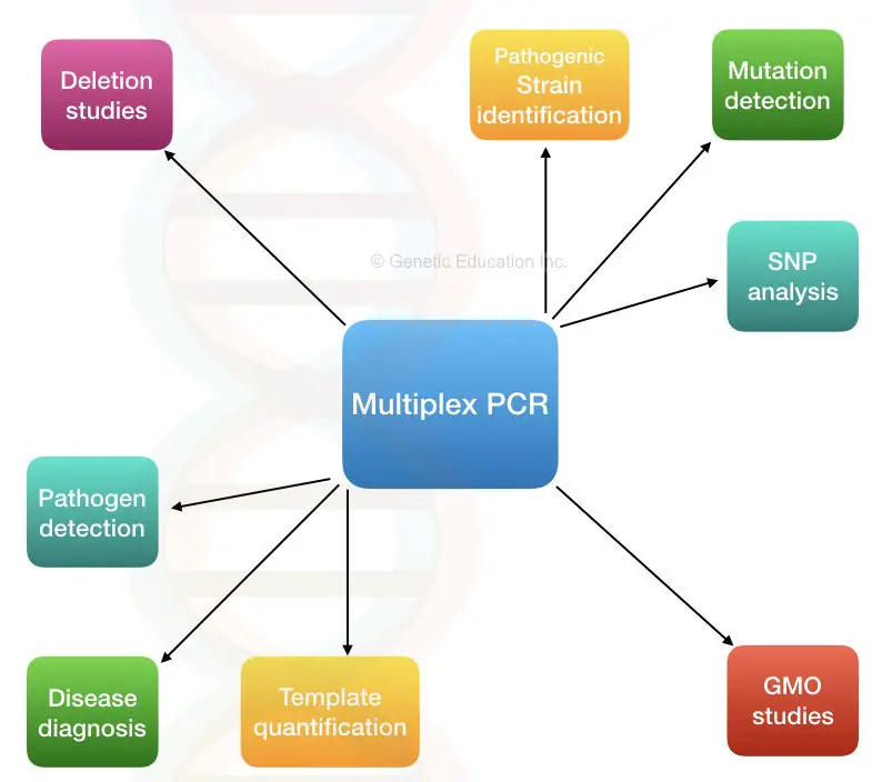 image 98 The overview of applications of multiplex PCR