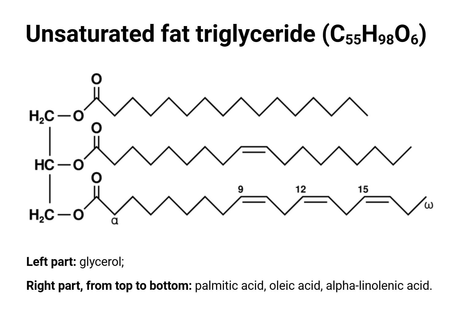 unsaturated fat triglyceride unsaturated fat triglyceride