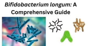 Bartonella henselae 2 Bifidobacterium longum