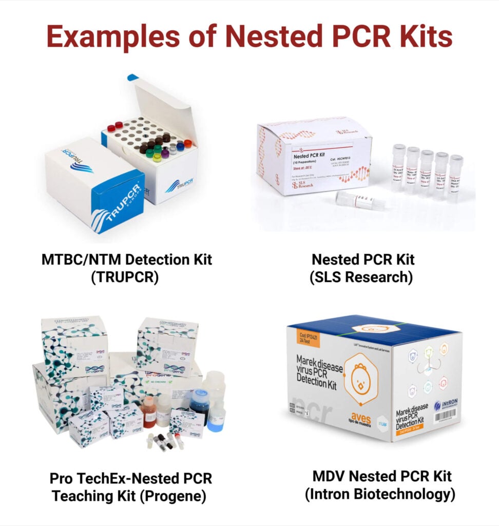 Examples of Nested PCR Kits Examples of Nested PCR Kits