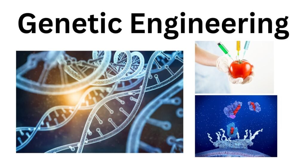 Genetic Engineering Genetic Engineering