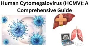 Human cytomegalovirus (HCMV)