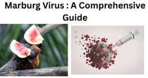 MarburgVirus Marburg Virus