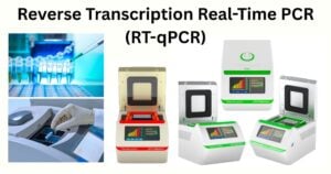 Reverse Transcription Real Time PCR RT qPCR Reverse Transcription Real-Time PCR (RT-qPCR)